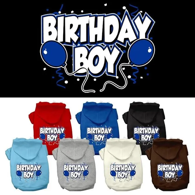 BIRTHDAY BOY SCREEN PRINT PET HOODIES